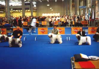 Mediolan 2000