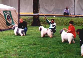 Tulln '99 (FURMAN - w rodku)