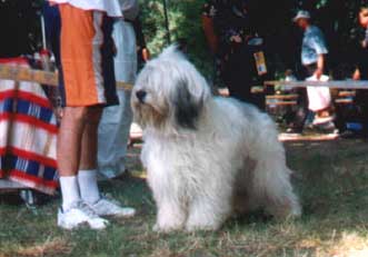 Bratysawa '97