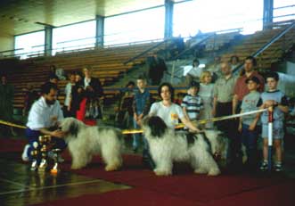 Bydgoszcz '97