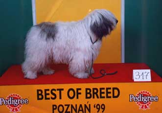 Pozna '99